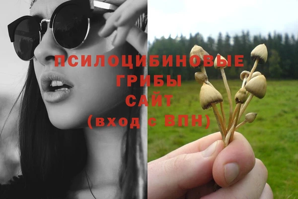 мяу мяу мука Армянск