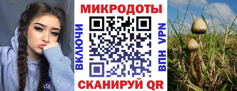 Псилоцибиновые грибы Psilocybine cubensis  нарко площадка какой сайт  Волгореченск  наркотики 